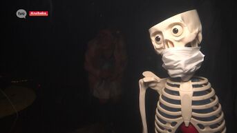 Skeletten met mondmaskers: een spookhuis in basisschool Reynaert in Kruibeke