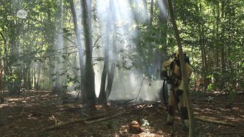 Tieners maken kampvuur in kurkdroog bos in Waasmunster