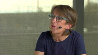 Riet Gillis (Groen):