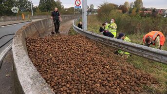 Boer verliest grote lading aardappelen aan rotonde E34 in Moerbeke