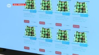 Sint-Niklaas bedrijf ontwikkelt software voor online fruitveilingsplatform