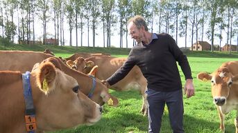 Melkveehouder uit Sint-Gillis-Waas wint innovatiecampagne met Jersey-melk
