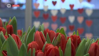 Bloemenwinkels druk in de weer om Valentijn voor te bereiden