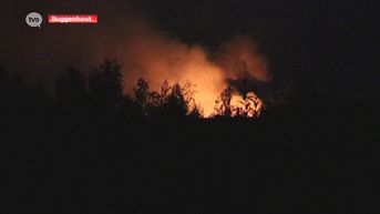 Onbekenden stichten brand op oude Alvat-site in Buggenhout