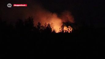 Onbekenden stichten brand op oude Alvat-site in Buggenhout