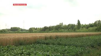 Nieuwe gevangenis in Dendermonde stap dichterbij