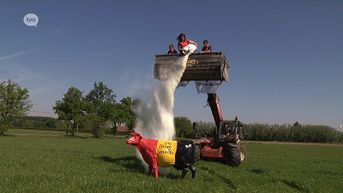 Melkveeboeren kwaad op Europese Unie
