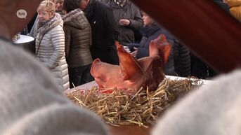 Sint-Antoniusviering Denderleeuw: geen varkenskopverkoop dit jaar, wel opstart traject erkenning Vlaamse inventaris immaterieel erfgoed