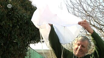 Man uit Baasrode vindt weerballon van het leger in z'n tuin
