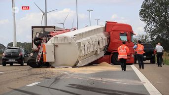 Vrachtwagen met veevoeder kantelt op E17, file richting Gent