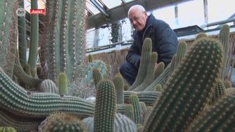 Cactusclub Hofstade verkoopt na 34 jaar haar unieke collectie