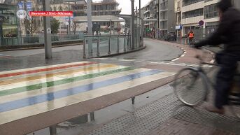 Regenboogvlaggen, regenboogstickers en straks ook een regenboogzebrapad in Beveren?