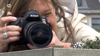 Fotografe brengt Lokeren in beeld via prachtige miniaturen