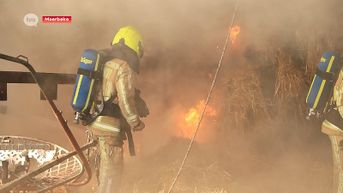 Zware brand in Moerbeke-Waas: eigenaar gewond, één paard komt om