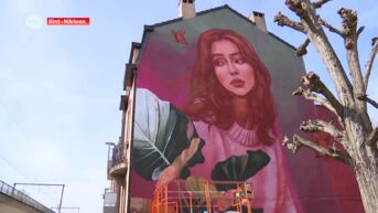 Deze prachtige mural langsheen het spoor in Sint-Niklaas laat je dagdromen