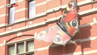 Vlinder neemt oud gemeentehuis van Temse onder haar vleugels