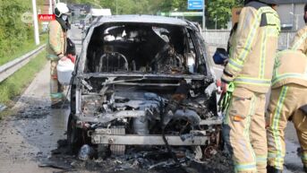 Auto brandt uit in Aalst, bestuurder komt er met de schrik vanaf