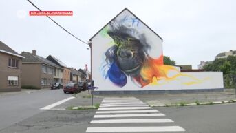 Street art van Viewmasters kleurt Sint-Gillis-bij-Dendermonde