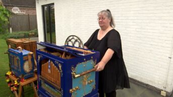 Dendermondse orgeldraaister wil Belgische titel verlengen