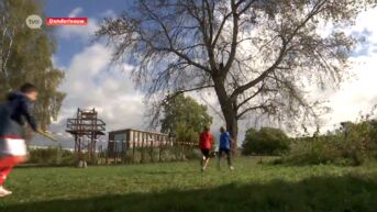 School in Denderleeuw geprezen voor actie 'Breng je sportclub naar de school'