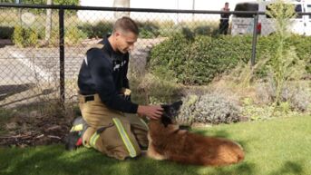 Huis tijdelijk onbewoonbaar na brand, twee honden gered