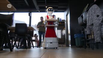 Brasserie in Temse neemt robot in dienst om klanten te helpen bedienen