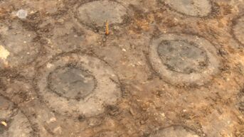 Archeologische opgraving Melsele laat unieke bronstijdgrafheuvel zien