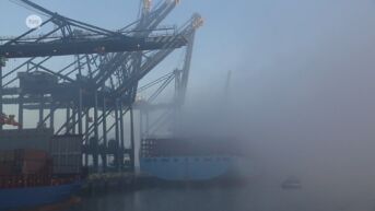 Dichte mist breekt de containerterminals in de haven zuur op