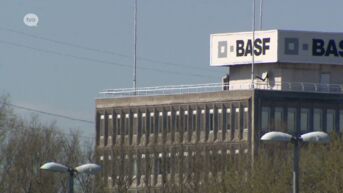 Onderzoek naar pesterijen en fysiek geweld door ploegbaas bij BASF in Antwerpen