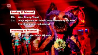 Ook TV Oost viert dit weekend Aalst Carnaval