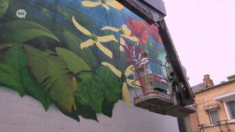 Street-art kunstenaar Cazn zet kleurrijk kunstwerk neer in Dendermonde