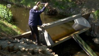 Provincie verbiedt oppompen van water uit onbevaarbare waterlopen