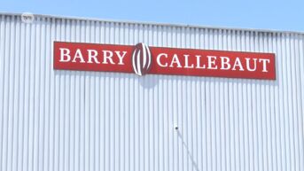 Wieze: Barry Callebaut legt productie stil na ontdekking salmonella, voorlopig geen producten teruggeroepen