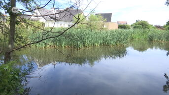 Stad Zottegem gaat Molenvijver leegvissen voor de plas uitdroogt