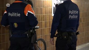 Agenten noteren geen zware misdrijven tijdens grote controleactie in Denderleeuw