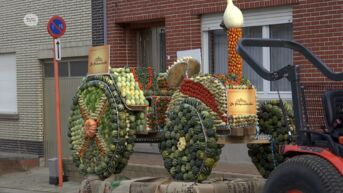 Molen en tractor in pompoenen sieren halloweenparcours in Zottegem
