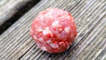 Onbekende legt giftige gehaktballen vlakbij Ninoofs asiel: 