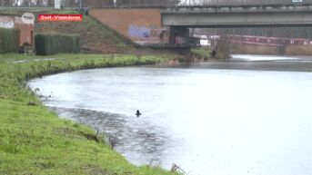 Waterlopen in Dender- en Scheldebekken overschrijden waakdrempels, maar gevaar voor overstromingen is geweken