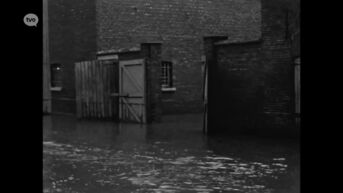 Gemeente Beveren herdenkt grote overstromingsramp, vandaag precies 70 jaar geleden.