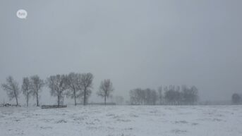 Oost-Vlaanderen ontwaakt onder laagje sneeuw, KMI vraagt om verplaatsingen uit te stellen