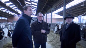 Sint-Niklase veetelers krijgen Vlaams minister van Landbouw Jo Brouns over de vloer