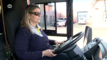Groot tekort aan buschauffeurs bij Oost-Vlaamse busbedrijven: 270 openstaande vacatures