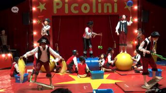 Leerlingen in Overmere leren de knepen van het circusvak: 