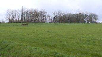 Sint-Lievens-Houtem weigert advies te geven voor nieuwe windmolens en eist eerst Vlaams masterplan