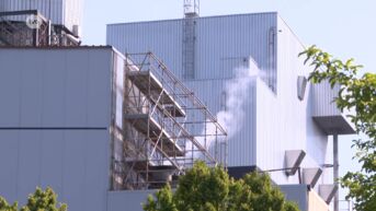 Buurtbewoners Tereos-fabriek Aalst klagen over geurhinder: 
