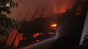 Zware brand verwoest fermette in grensdorp Koewacht bij Stekene
