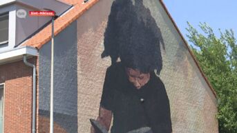 Lurin aan nieuwe mural in Sint-Niklaas: 
