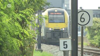 Storing aan Scheldebrug: urenlang geen treinverkeer tussen Temse en Puurs