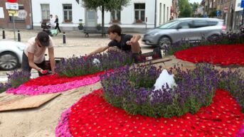Internationaal Oogstfeest De Pikkeling is er weer met bloementapijt in Moorsel en parade in Aalst