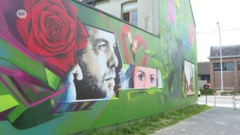 Mural van CAZ in Wichelen is klaar, de kunstenaar legde er zijn hart en ziel in